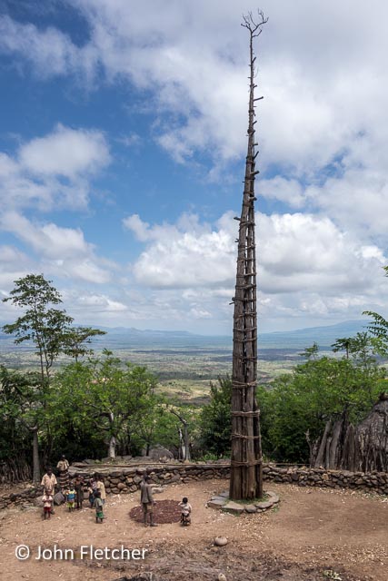 Generation Tree