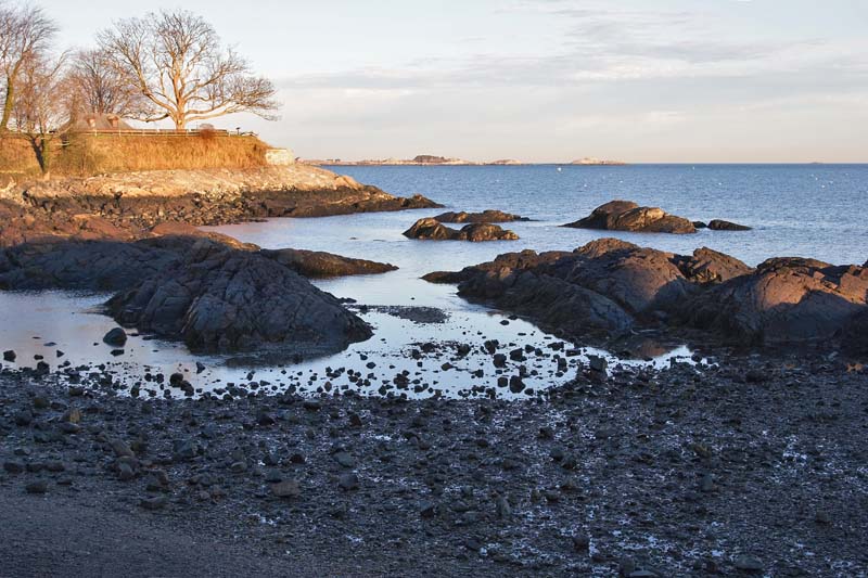 Low Tide