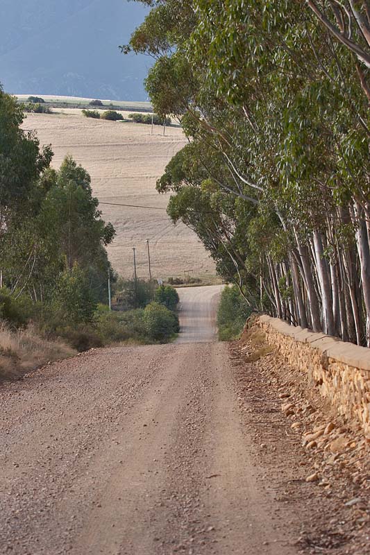 Country Road