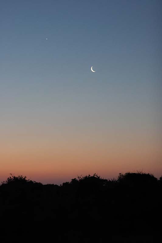 Venus Watching the Moon