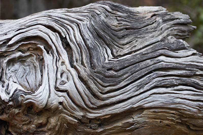 Interesting Log