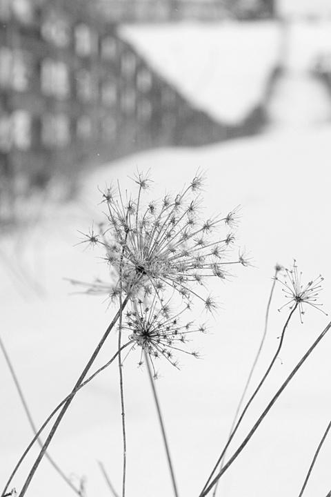 CRW_5230web.jpg