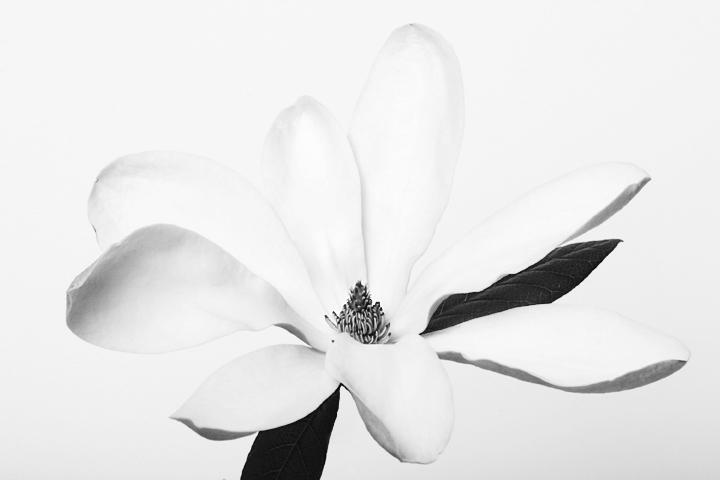 CRW_9031_RT8web.jpg