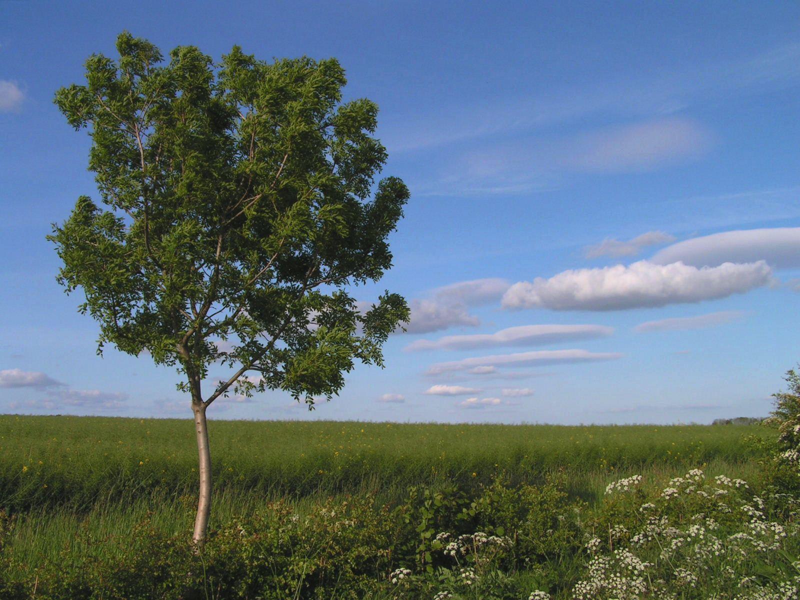 Near Huggate