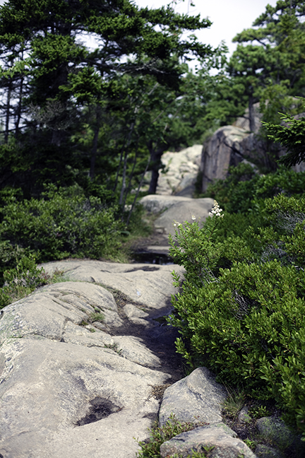 Mountain Trail Above Sand Beach