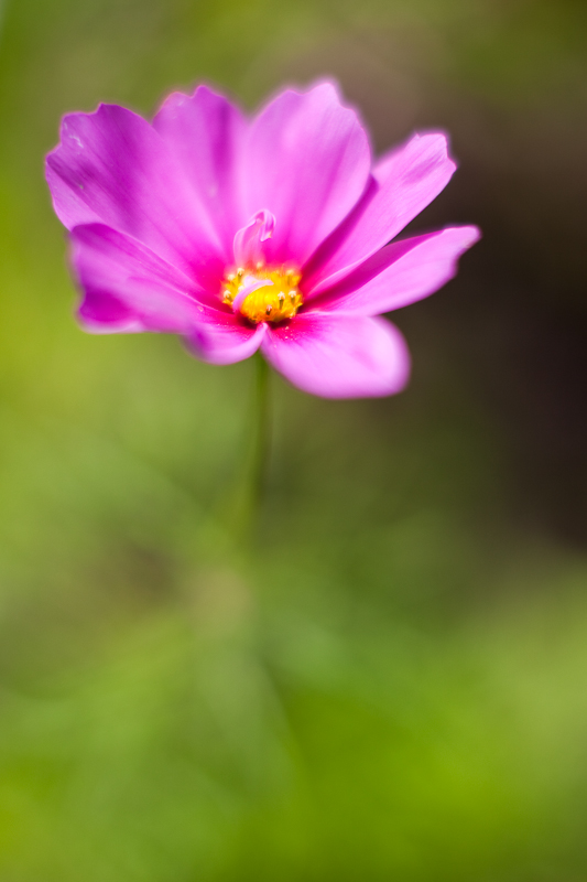 Third Cosmo 2010