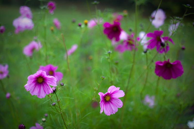 Cosmos in a Tunnel