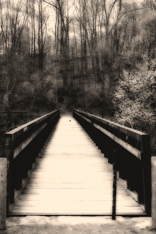 Bridge to Nowhere