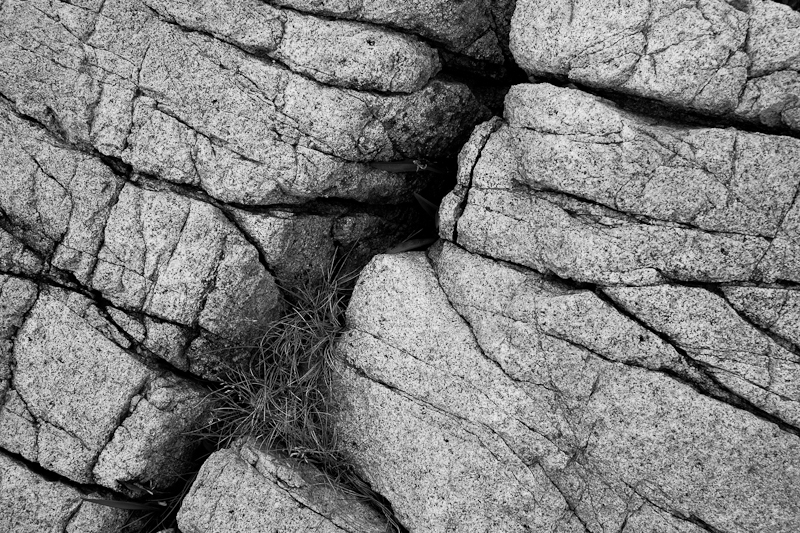 Cracked Rock and Grass