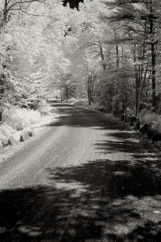 Carriage Road by Duck Brook Bridge