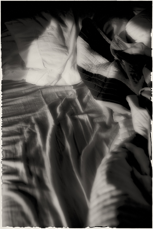Morning Bed Monochrome