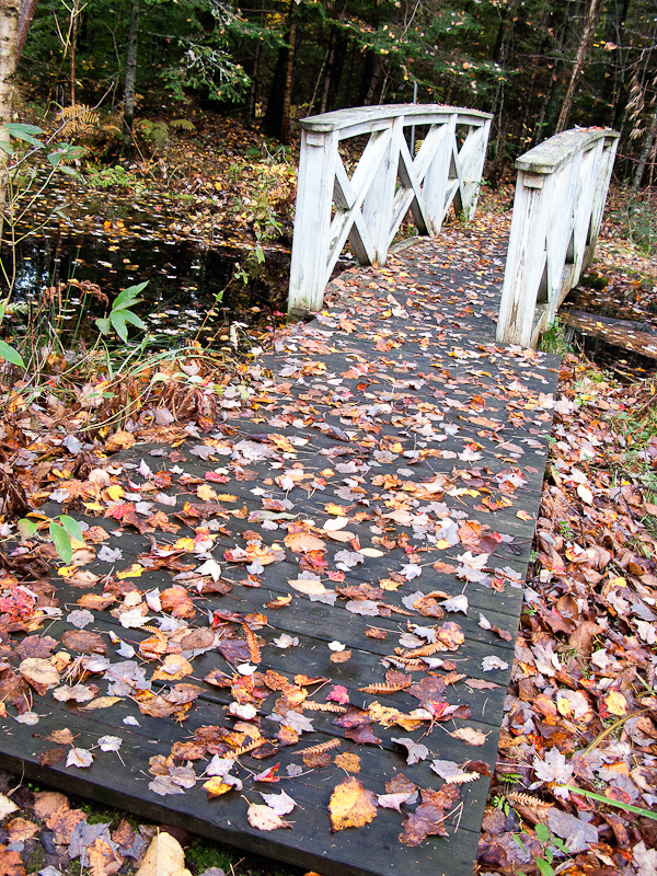 Little Bridge in Birdsacre #1