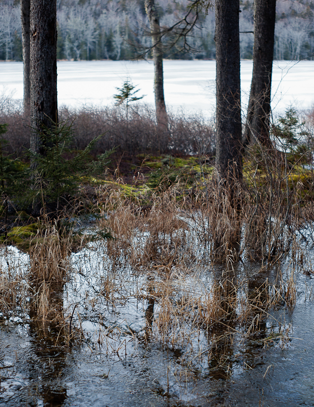 Little Long Pond Overflowed and Frozen #1