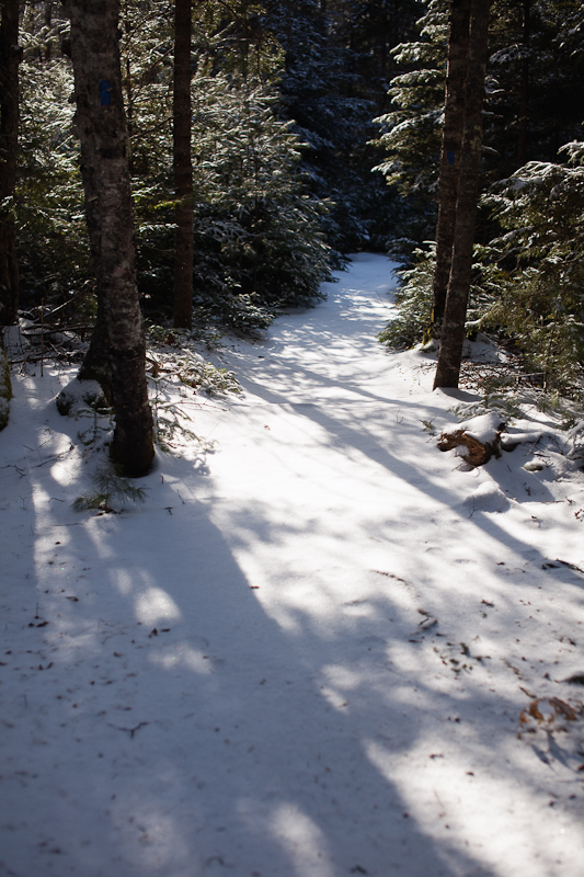 Long Path, Long Shadows