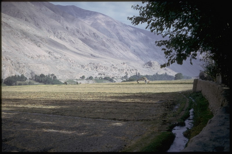 From where we spent the night in Hazarat Sayeed