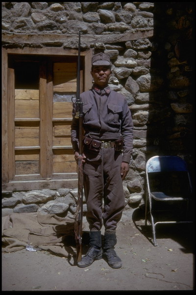 Sari Sang Lapis lazuli guard. The rifle is 1870 and the bayonet 1880.