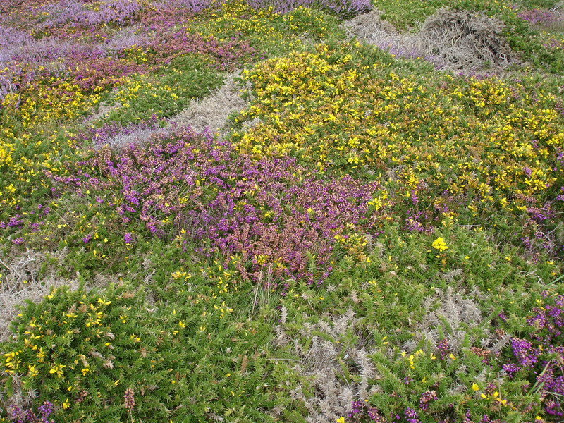 DSC04367_resize.JPG