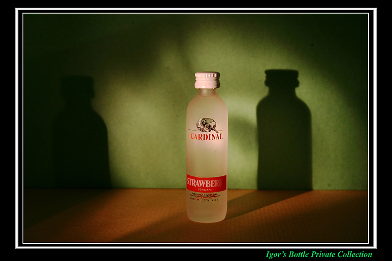 Igor's Bottle Private Collection 43p.jpg