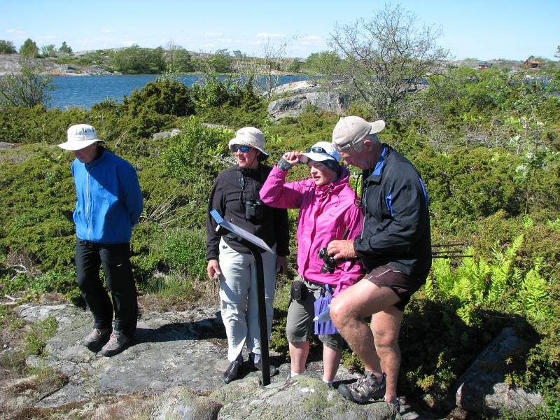 Bosse, Alice, Sara och Bengt lser om labyrinterna