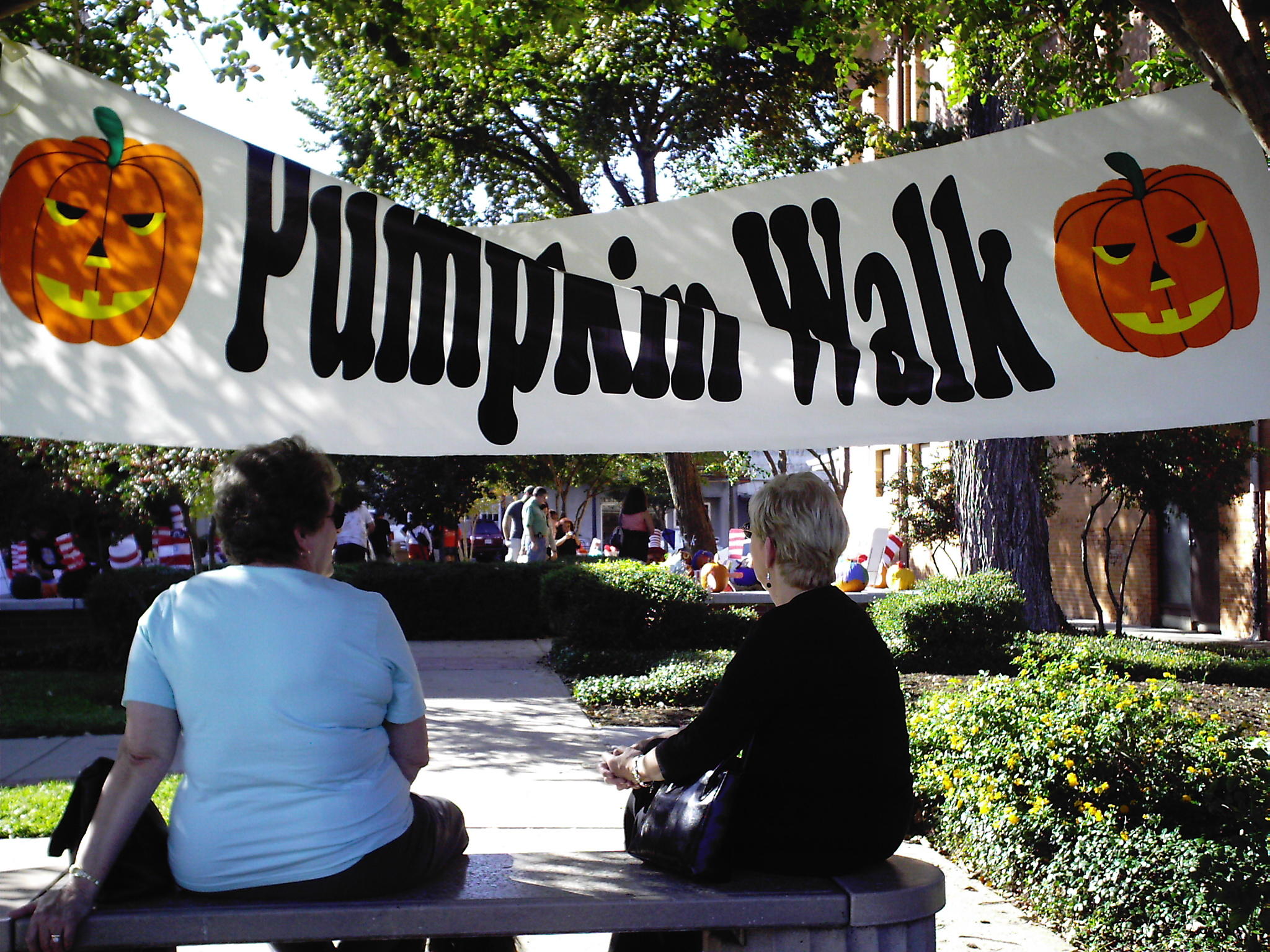 Fall Fest  2009