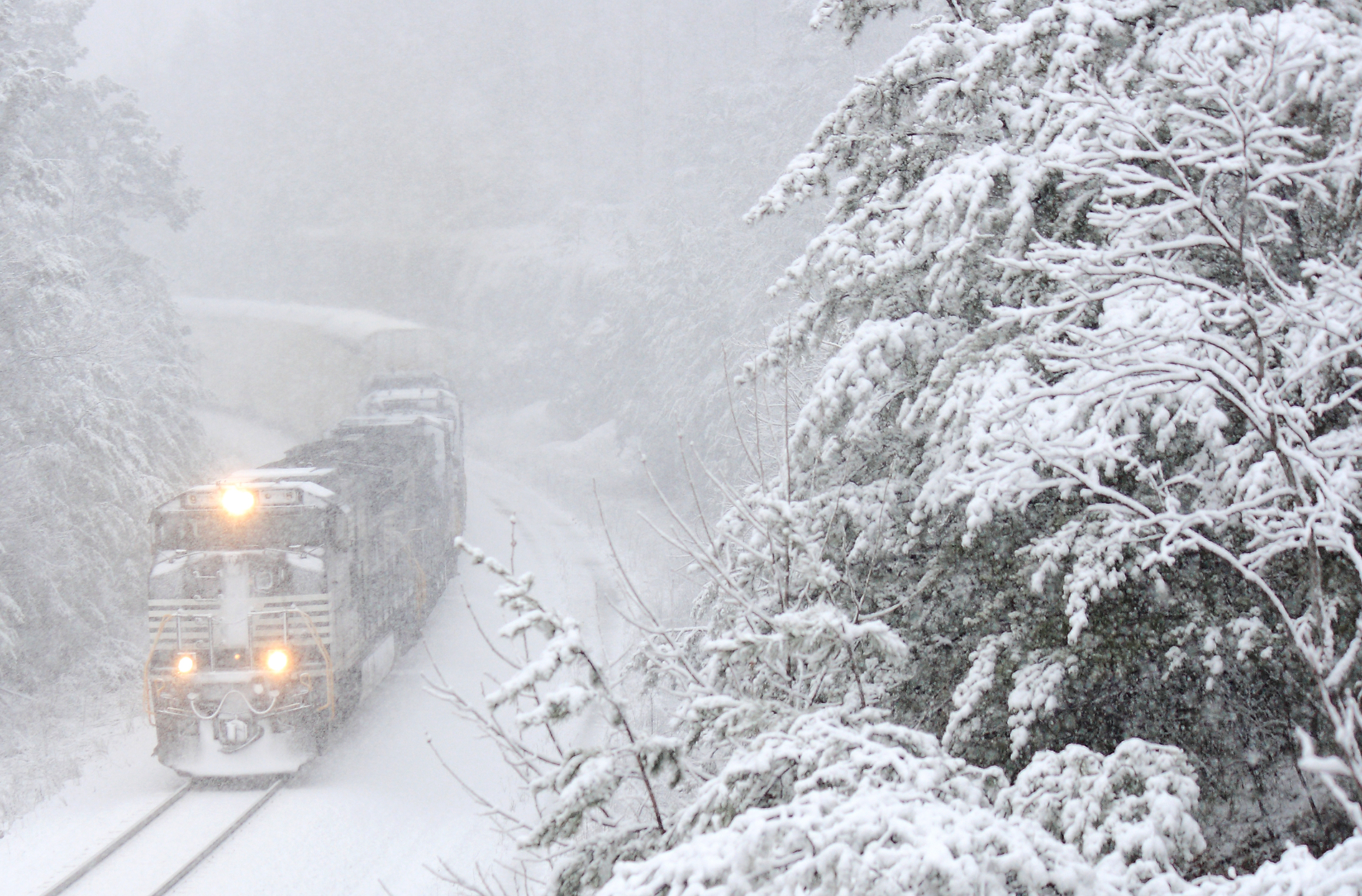 Heavy, wet snow clings to the trees as 223 rolls South. 
