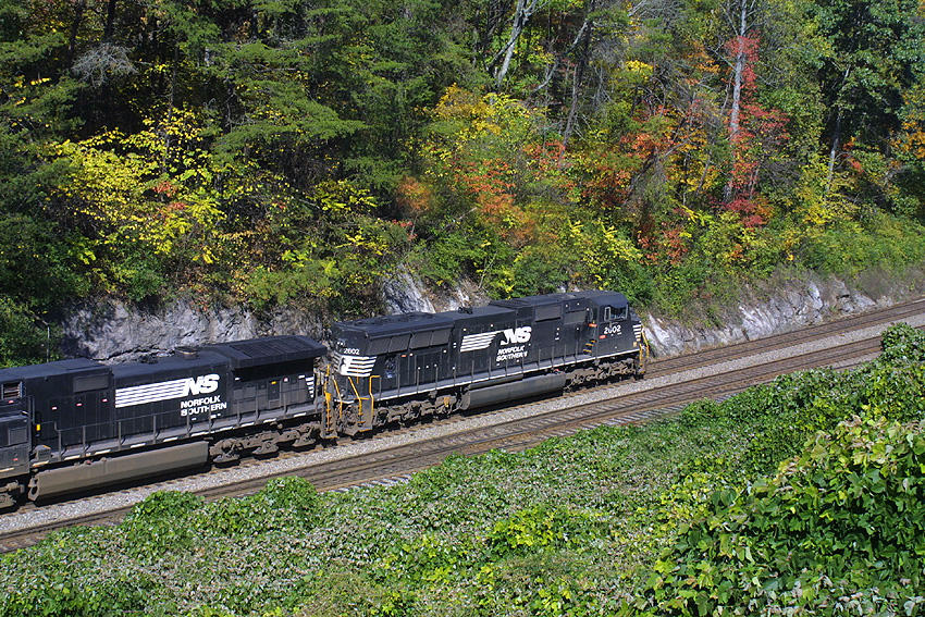 NS 174 tip-toes through the Kudzu at CP Strange, Harriman Tn.