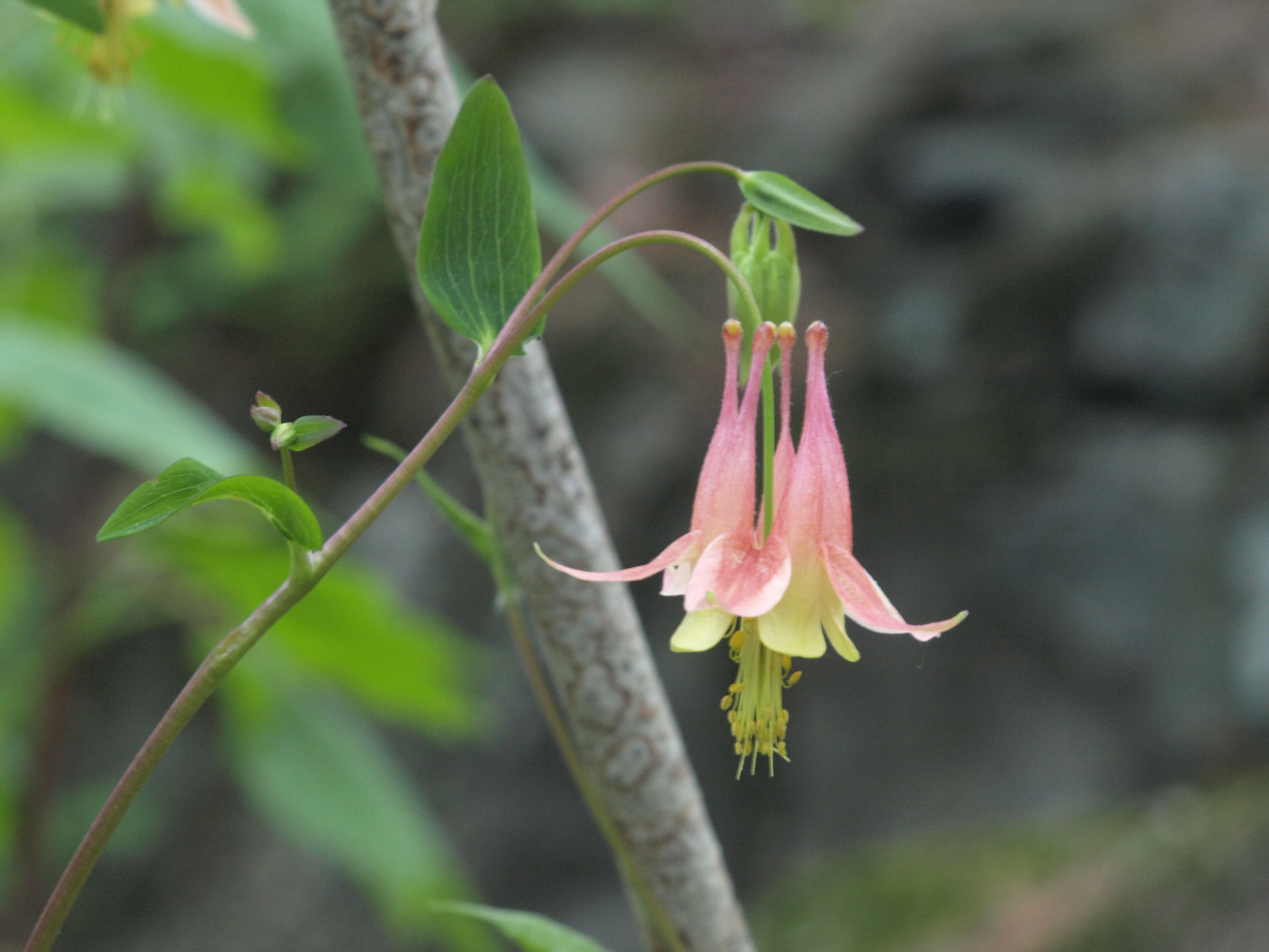 P1018544.JPG