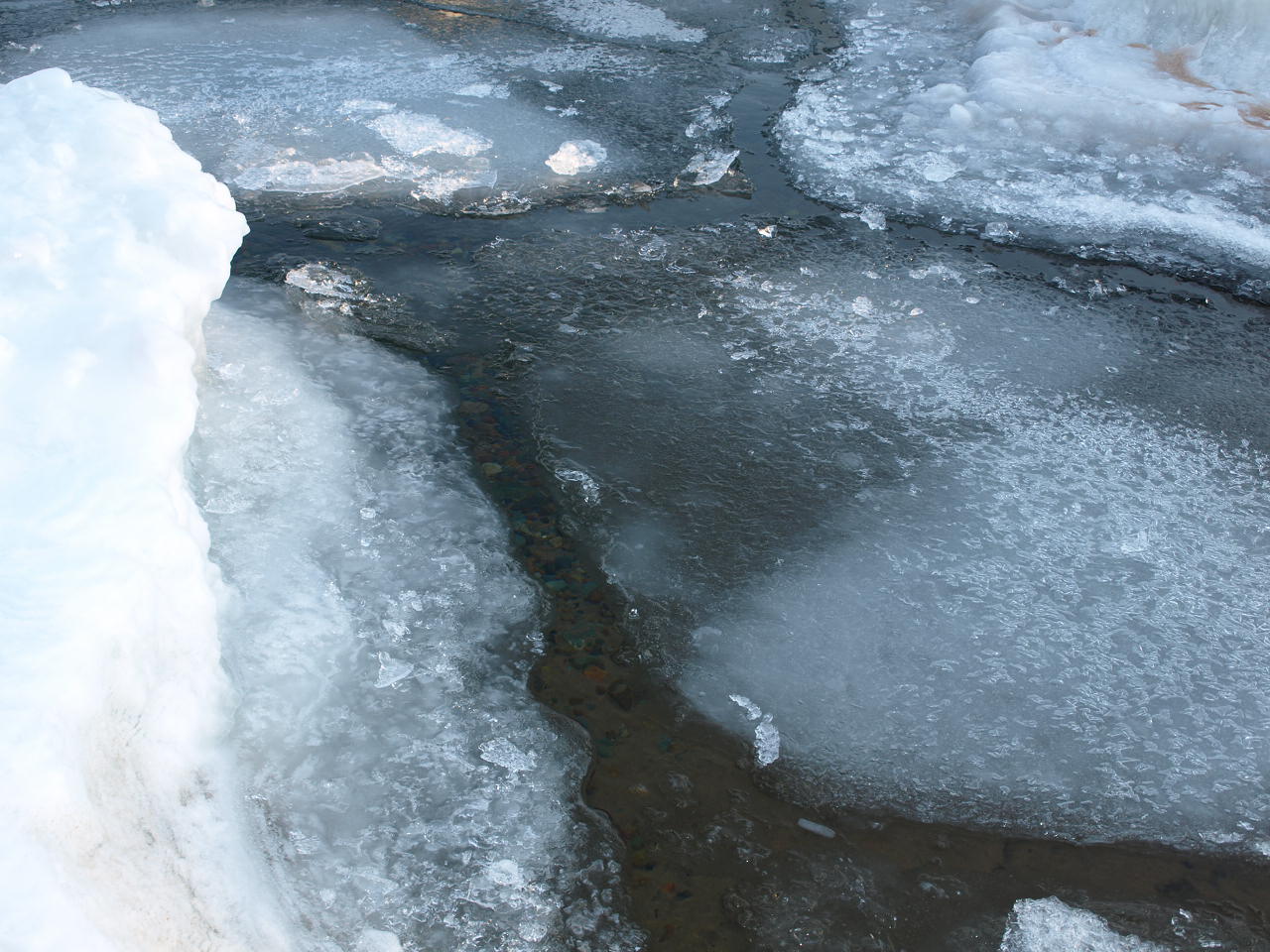 The Drift Ice and Beach
