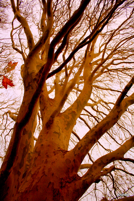 Fingers in the sky