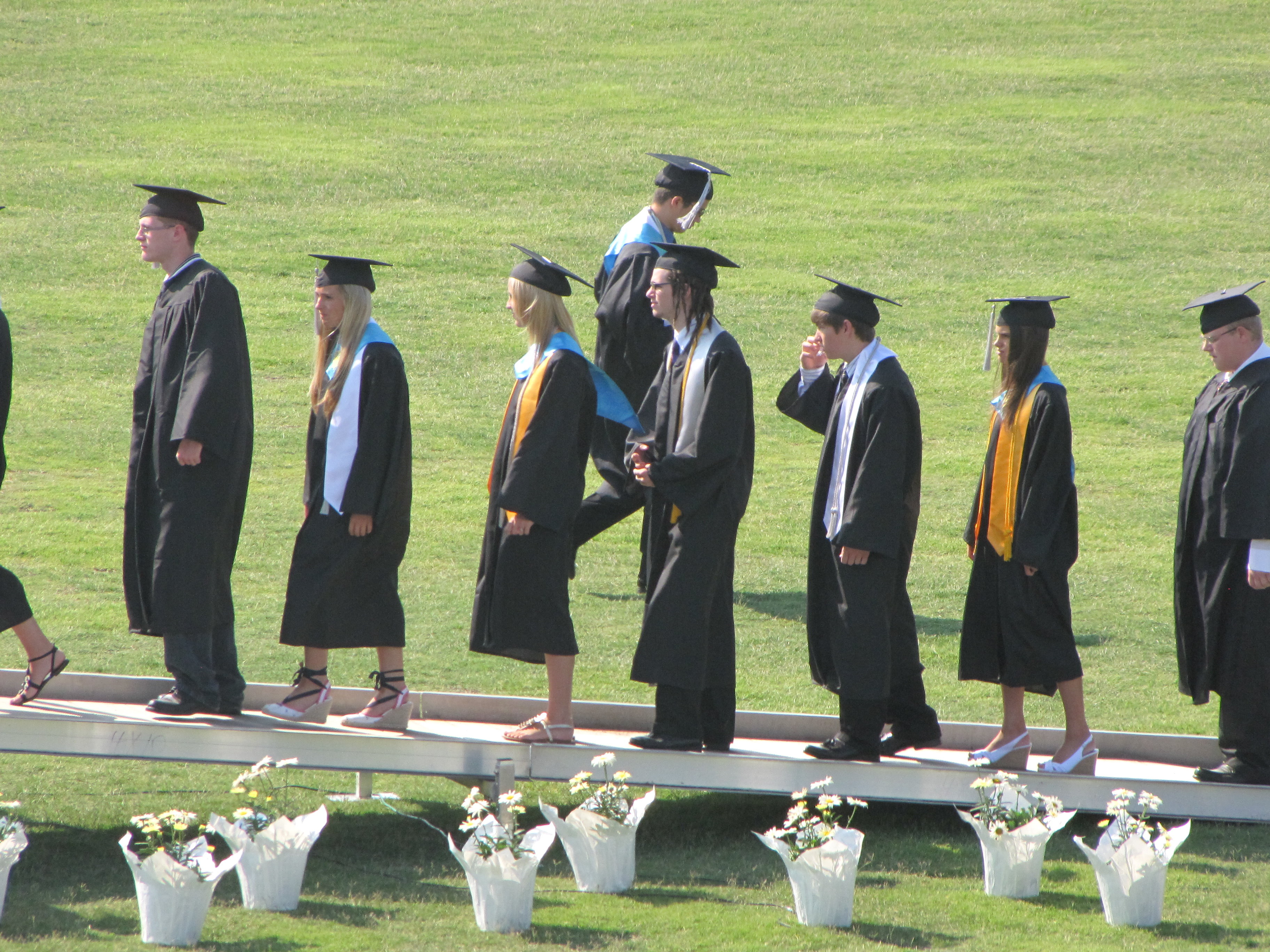 Picture 633.jpg
