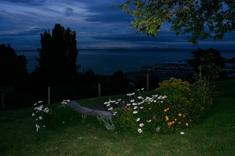 Viewpoint