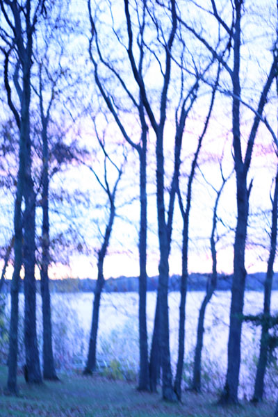 Blue Morning