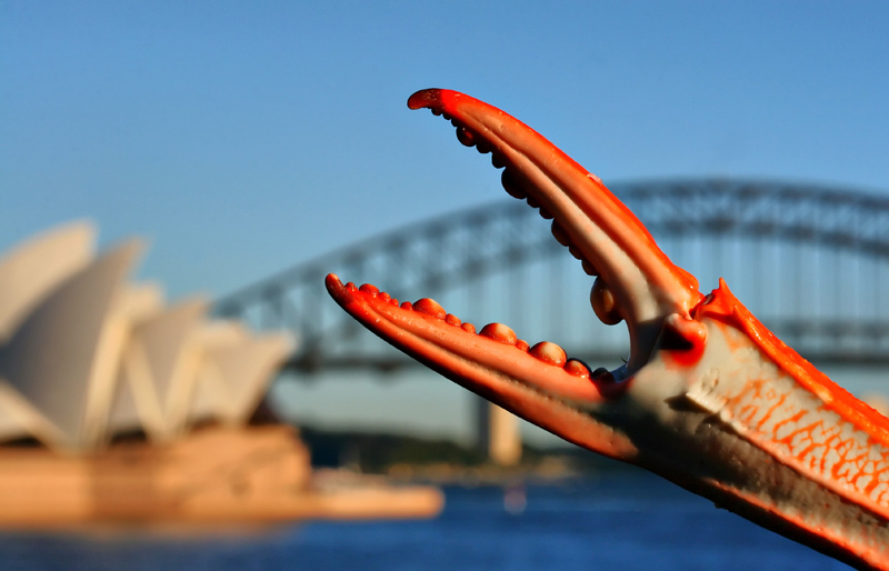 Sydney Tool 3
