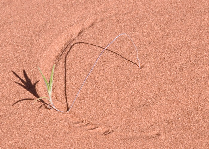 7th Place<br>Natural Arcs<br>by Larry