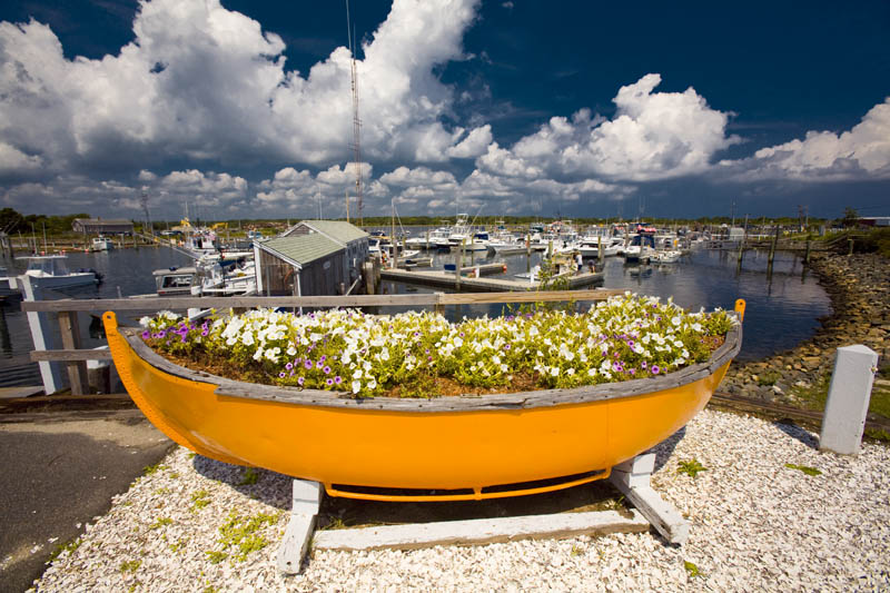 Sandwich Harbor