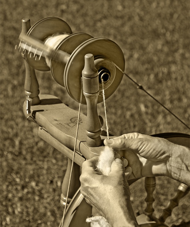 3rd Place Spinning Wool by Larry