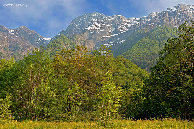 SwissLandscape3*