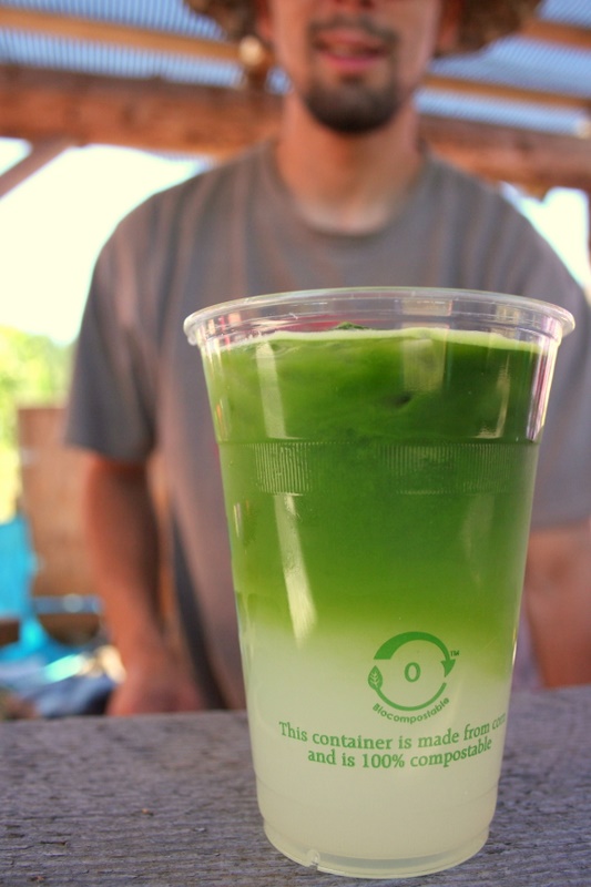 100% Compostable