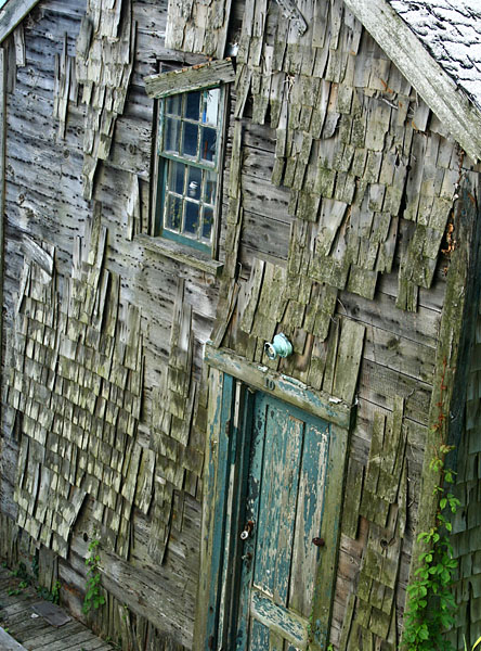 Fish Shack