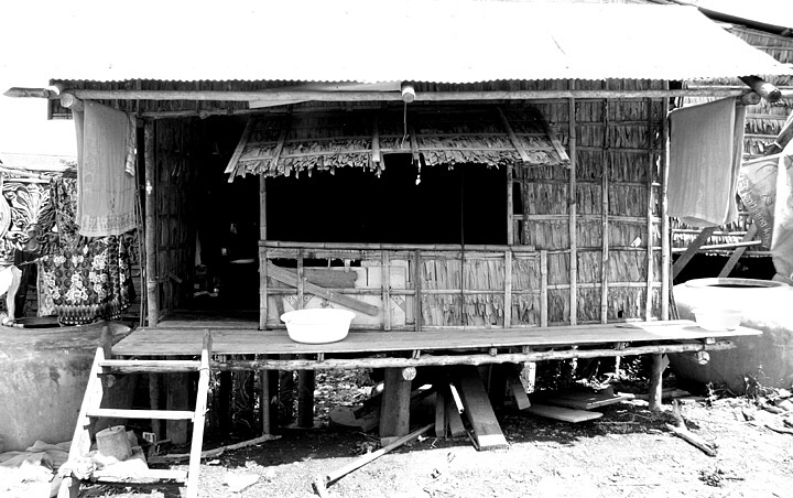 Wood the preferred Building material for Millennia