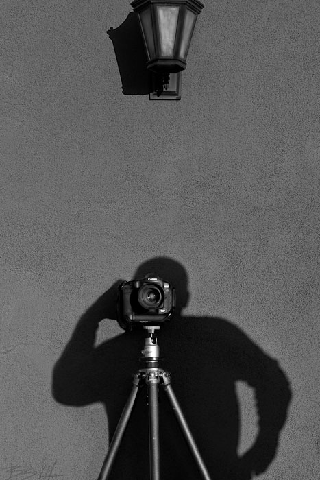10th Place Shadow Detail
