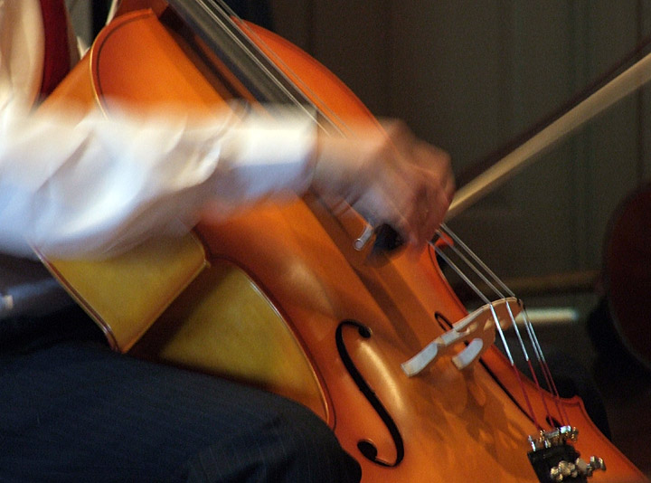 6th Place <br>Cello<br> by tvsometime