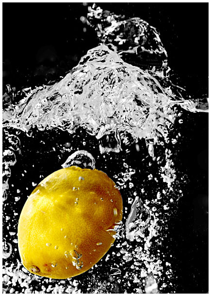 5th Place <br>Lemon Splash<br> by CJ in CA