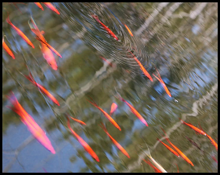 Reflections