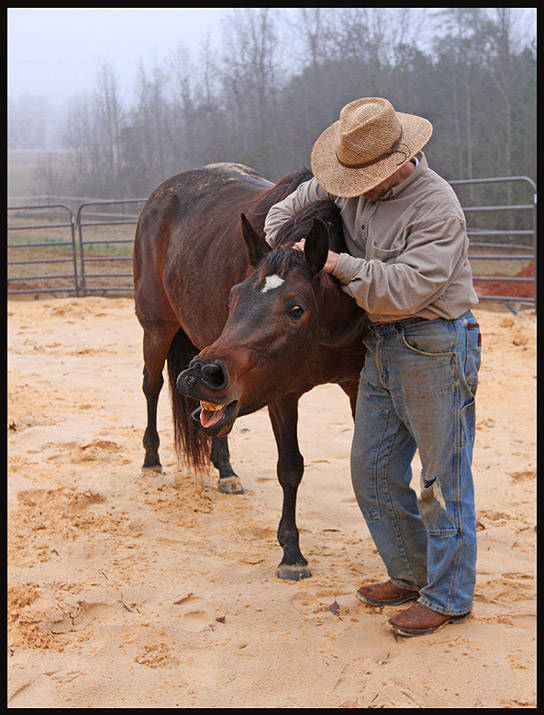 Never Look a Gift Horse in the Mouth