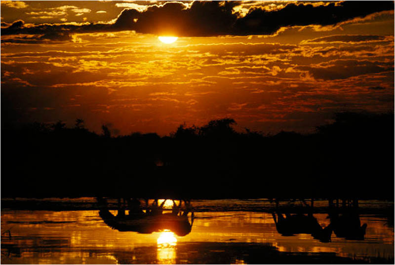At The End Of The Day........The Sun Still Rises