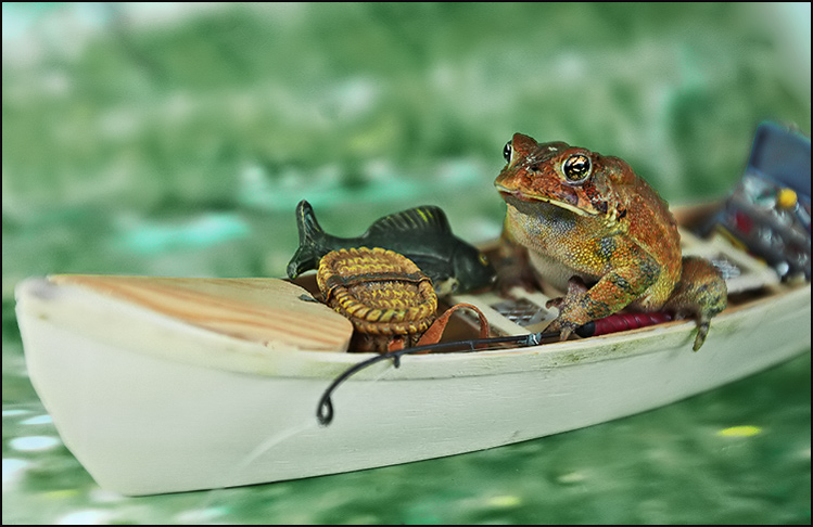 Hes got dinner.  <br> NOW, hes fishing for compliments.