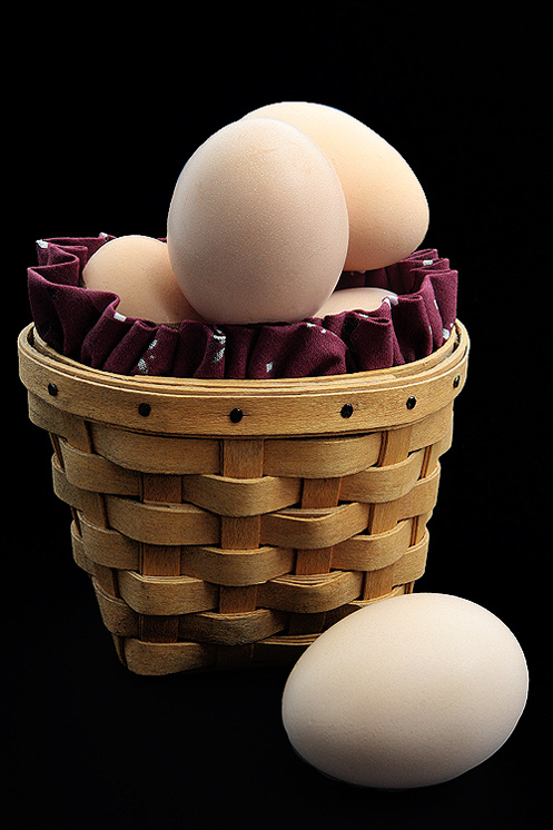 Dont put all of your eggs in one basket