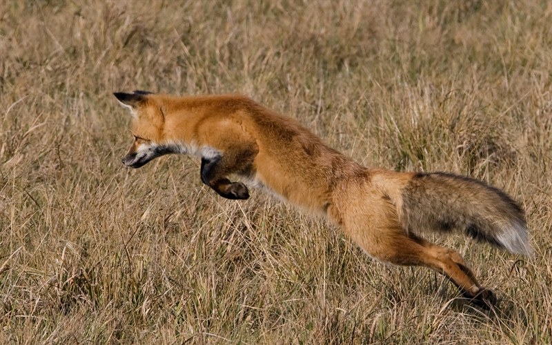 Look before you leap.