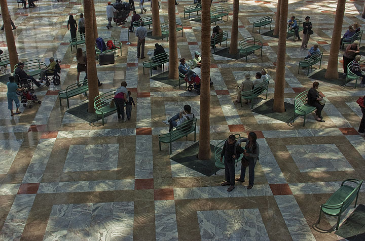 4th place - Winter Garden at Noon by tvsometime
